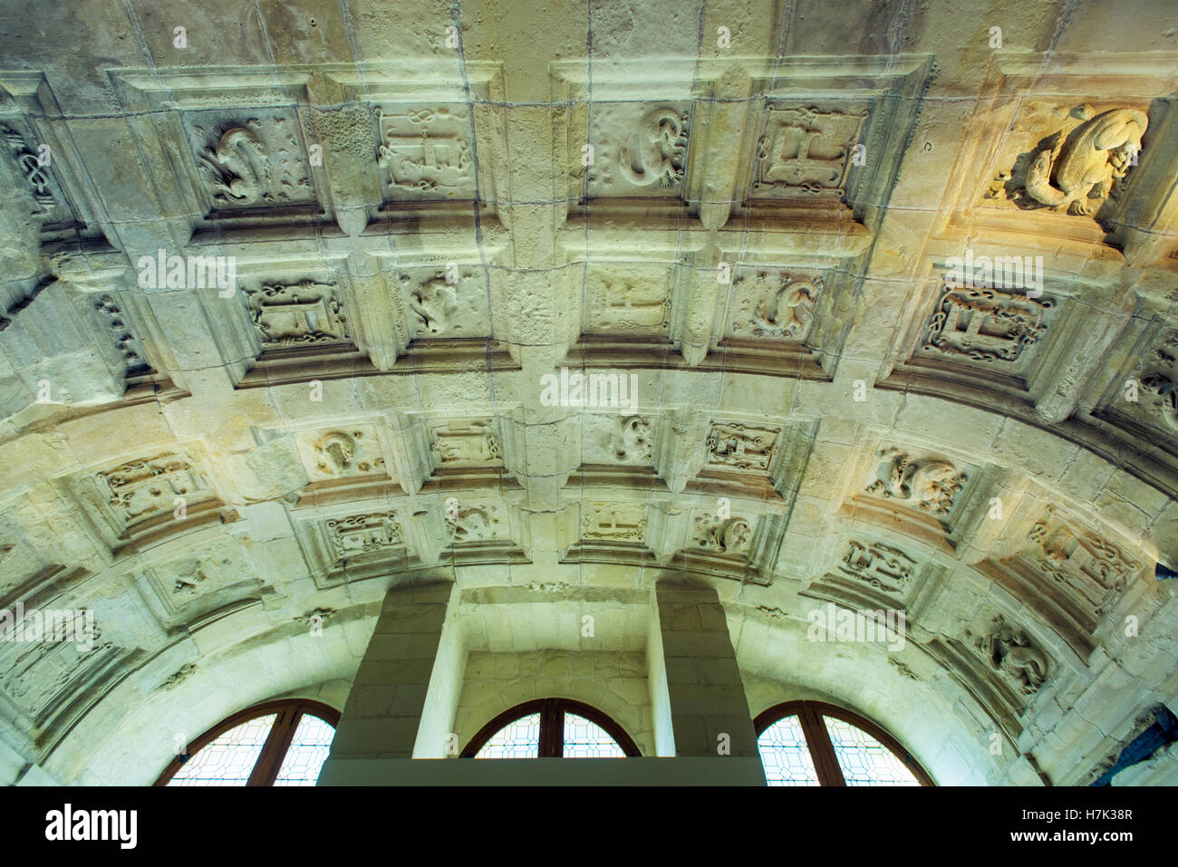 Decke Detail des 2. OG Süd Westen gewölbten Raum im Schloss Chambord im Loire-Tal, Frankreich Stockfoto