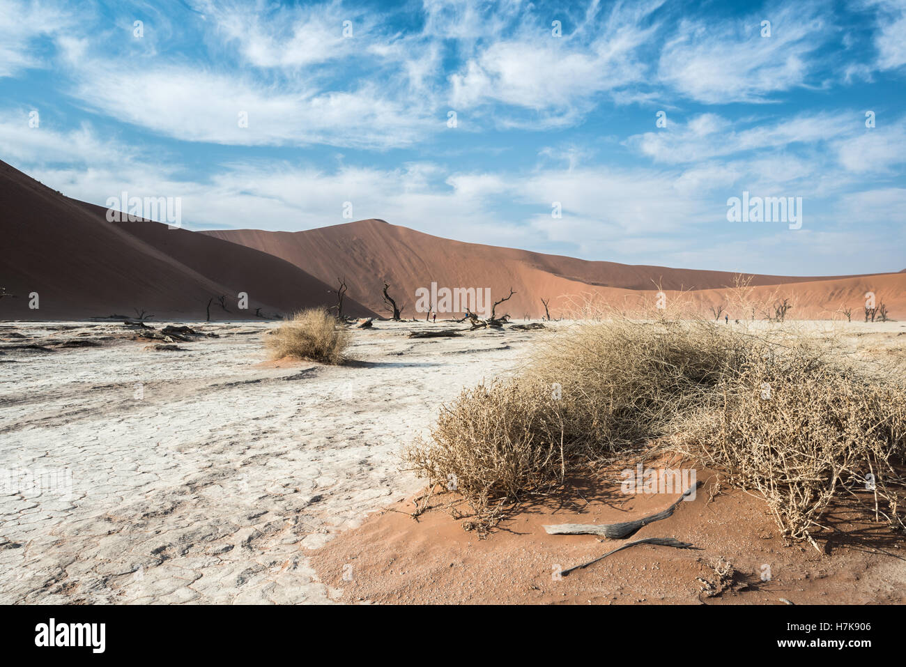 Toten trockenen Bäumen und Pflanzen DeadVlei Tal, umgeben von bunten riesigen Dünen der Namib Wüste tagsüber ein blauer Himmel mit s Stockfoto
