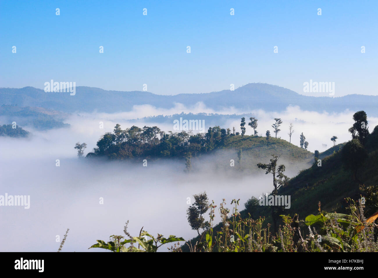 Ansicht von nebligen Berggipfeln umgeben von Morgennebel im Norden Thailands. Übernommen, während ein Öko-Tour durch Chaing Mai wandern. Stockfoto