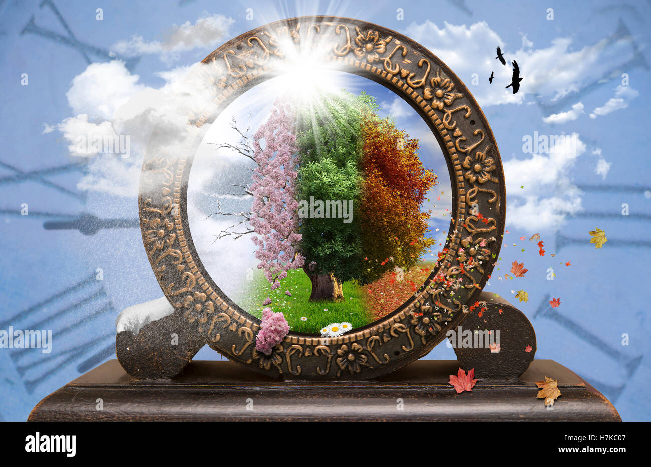 Four Seasons Baum in einer Uhr Stockfoto
