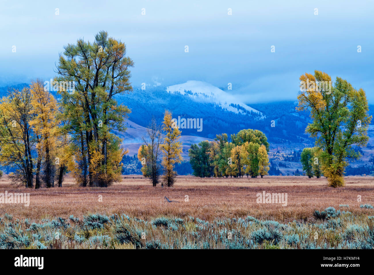 Herbst und Winter treffen Stockfoto