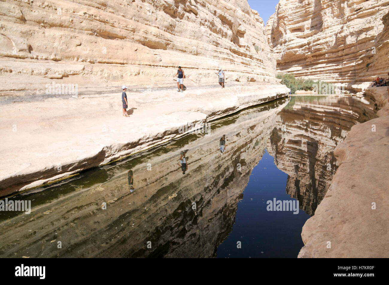 Ein Avdat, süße Wasserquelle in der Wüste Negev, Israel in der Nähe von Kibbuz Sde Boker Stockfoto