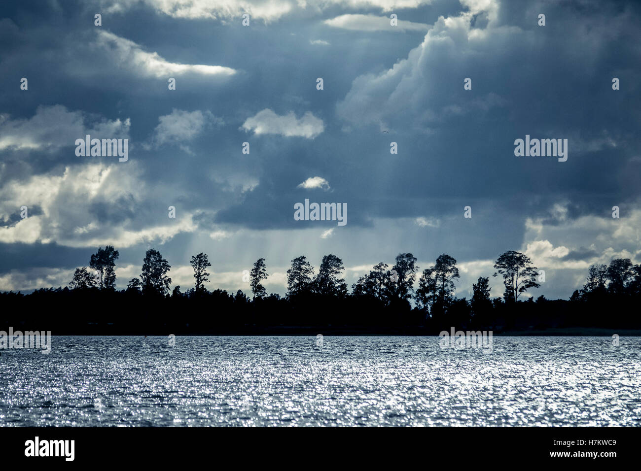 See und Bäumen in der Silhouette in der Nacht mit dramatischen Himmel. Landschaft in Schweden. Natur Szenenhintergrund in blauen Farbtönen. Stockfoto