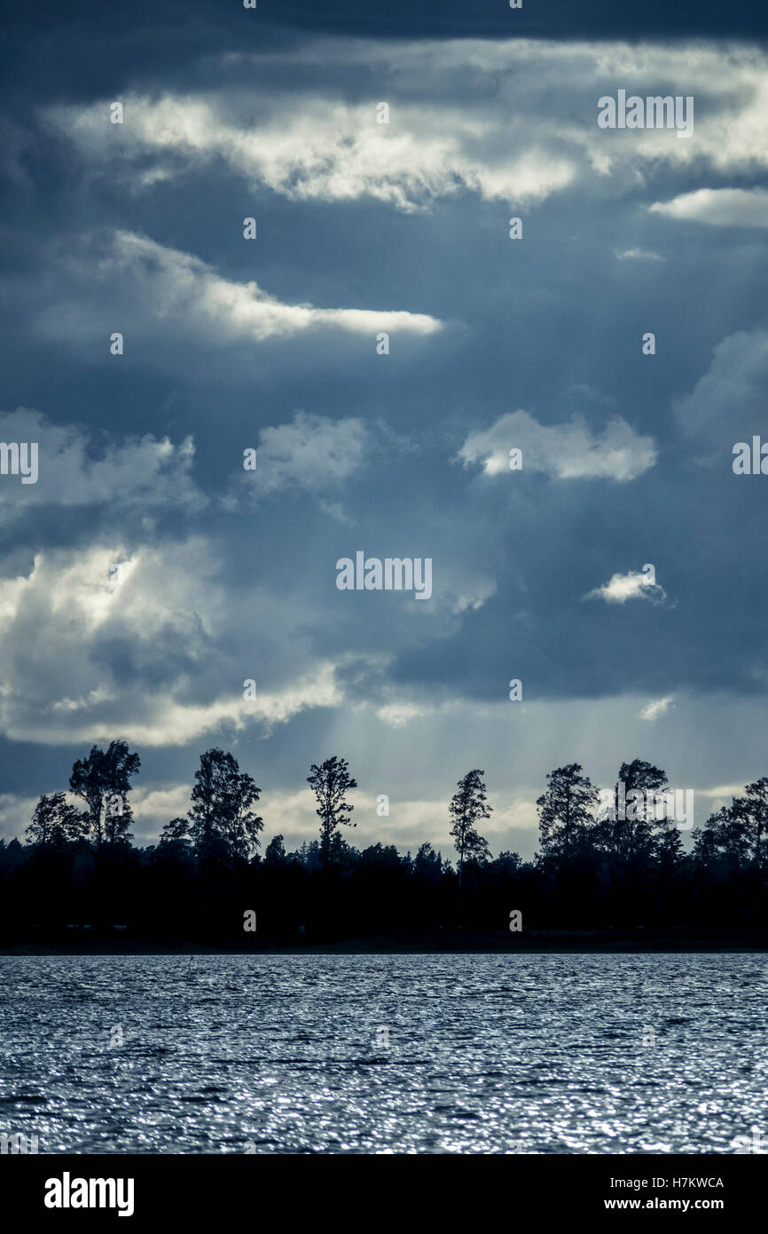 See und Bäumen in der Silhouette in der Nacht mit dramatischen Himmel. Landschaft in Schweden. Natur Szenenhintergrund in blauen Farbtönen. Stockfoto