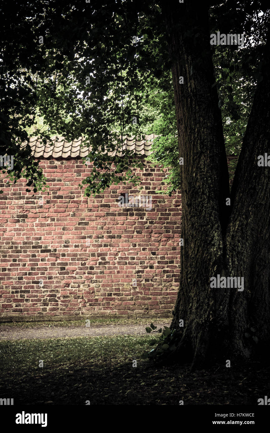Roten Backsteinmauer und alten Baum im leeren Park. Ruhigen und ruhigen Architektur Hintergrund. Stockfoto