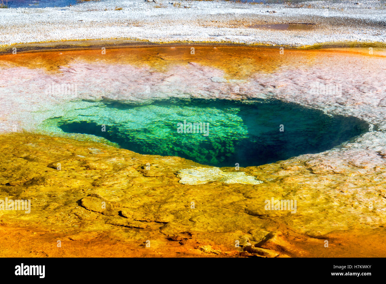 Detailansicht des chromatischen Pools im Upper Geyser Basin im Yellowstone National Park Stockfoto