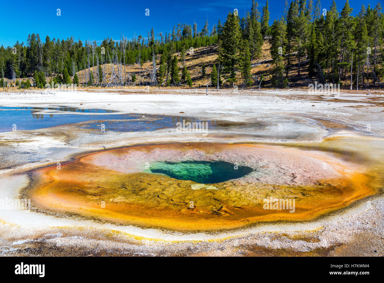 Landschaftsblick auf den chromatischen Pool in Upper Geyser Basin im Yellowstone National Park Stockfoto