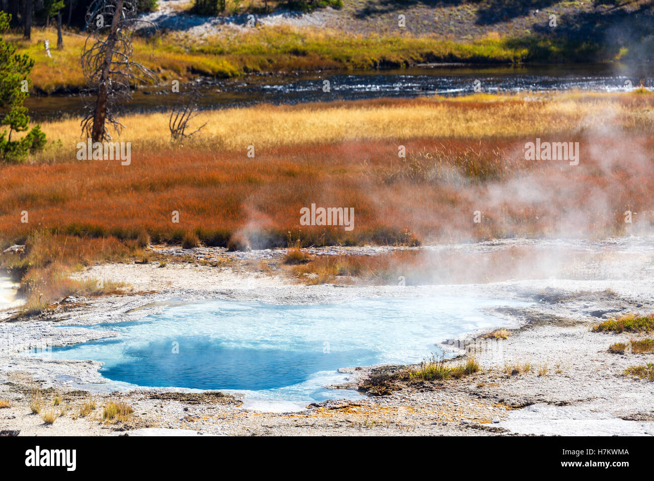 Pool mit Dampf aus der es im Upper Geyser Basin im Yellowstone National Park Stockfoto