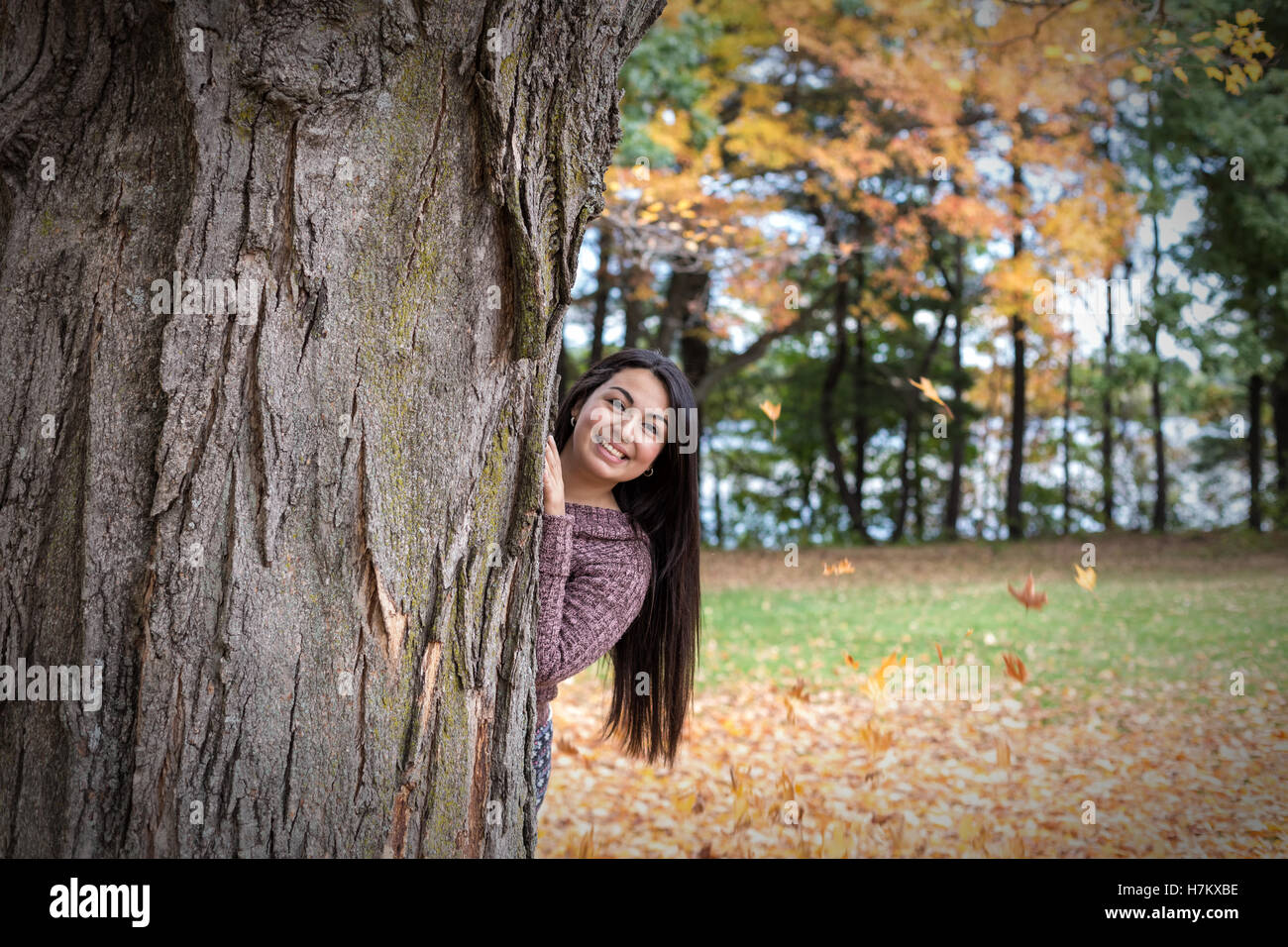 Versteckt in einem Baum Stockfoto