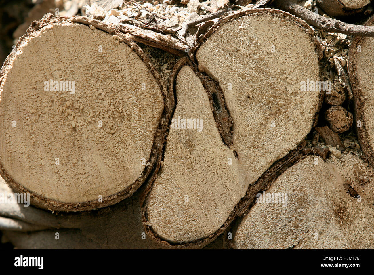 Zerbrochene Holz Stockfoto