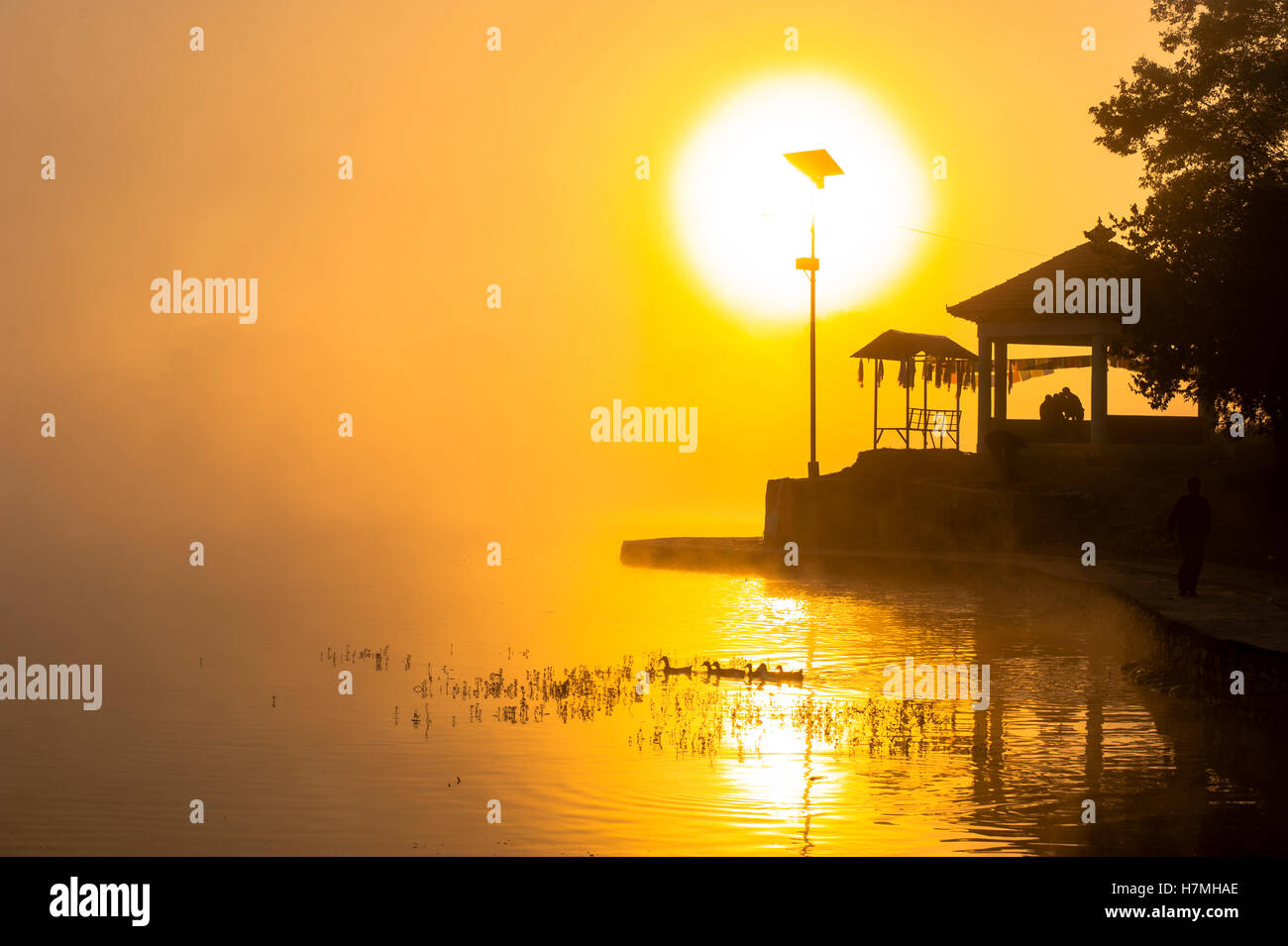 Gelbe taudah See Morgennebel mit Sonne im Hintergrund Stockfoto