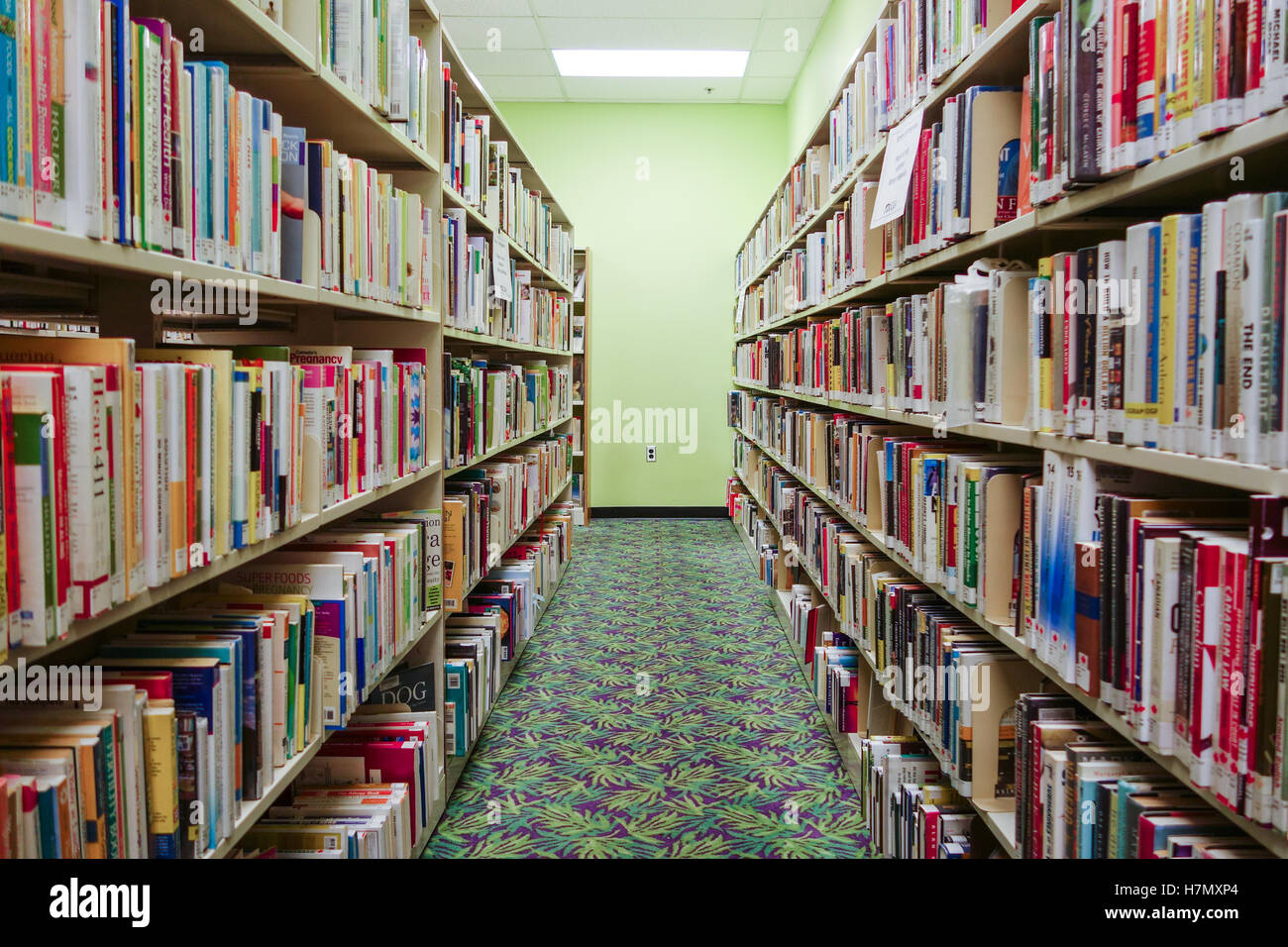 Bibliothek Bücherregale Vintage Teppich alt Stockfoto