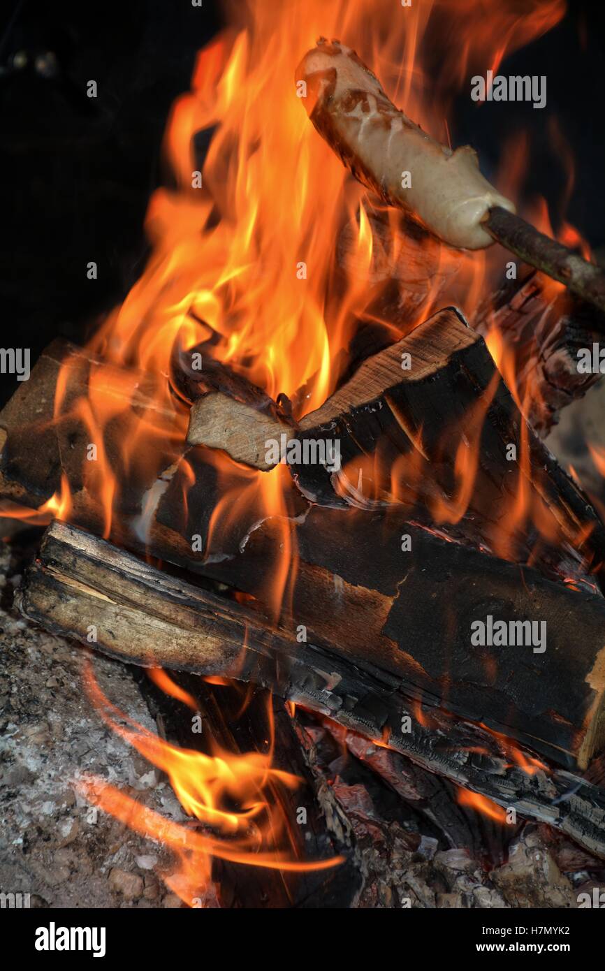 Heiße Flamme Des Feuers In Der Dunkelheit Mit Wurst In Der Branche ...