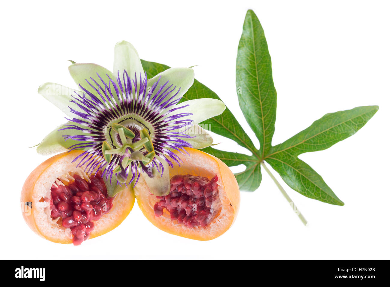 Essbare Frucht Der Passionsblume 8 Buchstaben