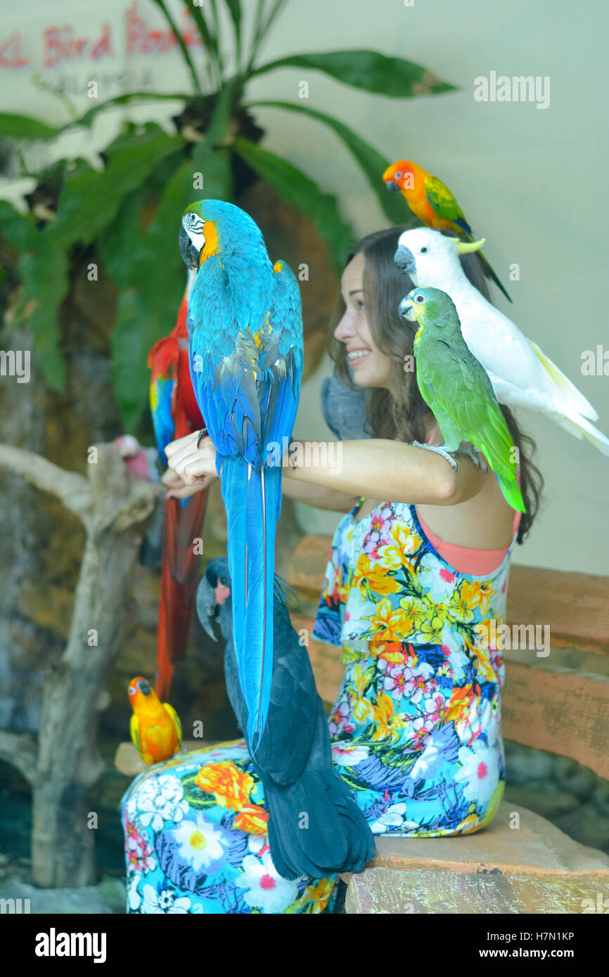 Innenansicht des Vogelpark Kuala Lumpur, Malaysia Stockfoto