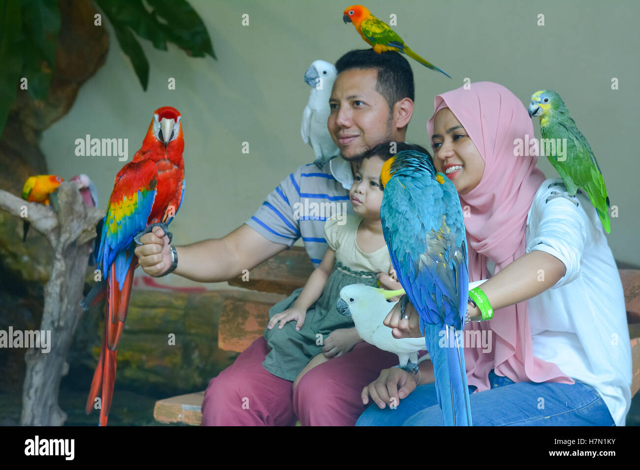 Innenansicht des Vogelpark Kuala Lumpur, Malaysia Stockfoto