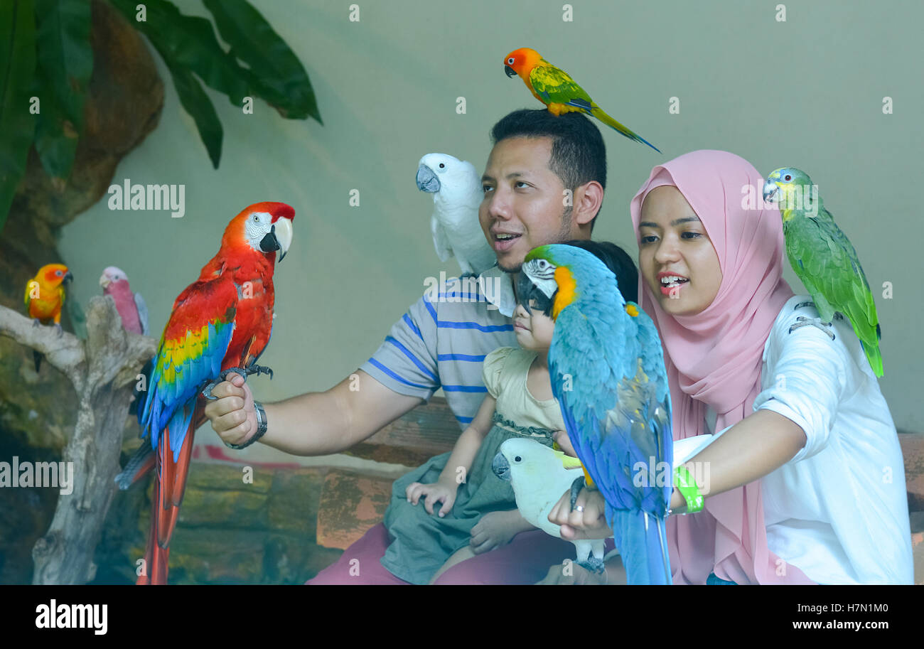 Innenansicht des Vogelpark Kuala Lumpur, Malaysia Stockfoto
