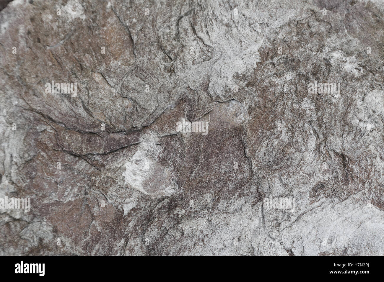 Stein Stein Hintergrund losen Felsbrocken grau weiß Stockfoto