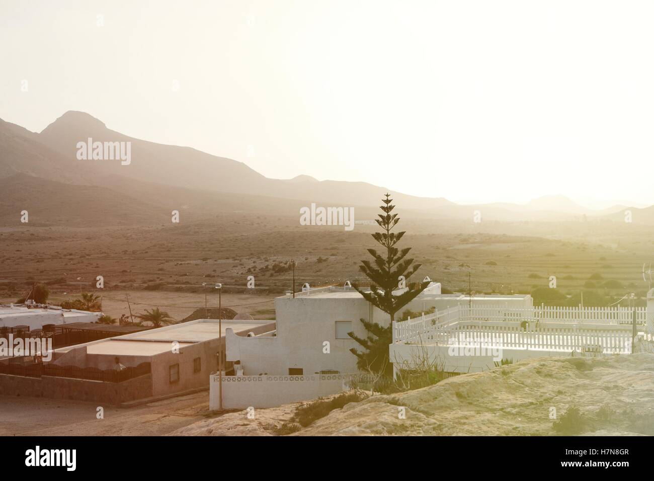 Wüste Ort mit Palmen befindet sich in Almeria (Südosten Spaniens) Stockfoto