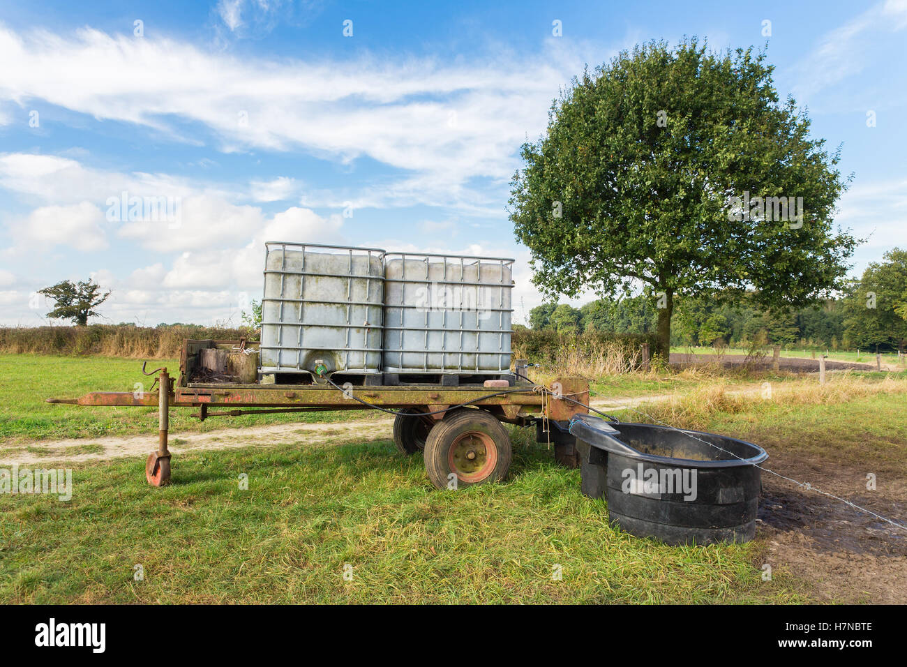 Wasser-Container auf Trailer für Kühe auf der Weide Stockfoto
