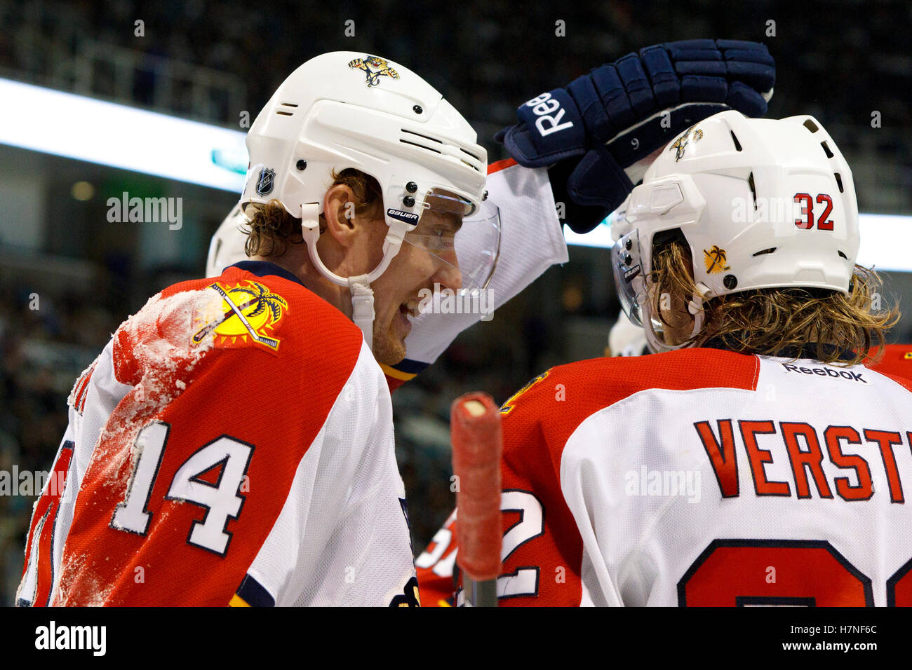 Dezember 2011; San Jose, CA, USA; der linke Flügel von Florida Panthers Tomas Fleischmann (14) wird von Matt Bradley (22) gratuliert, nachdem er in der zweiten Periode im HP Pavilion ein Tor gegen die San Jose Sharks erzielt hatte. Stockfoto