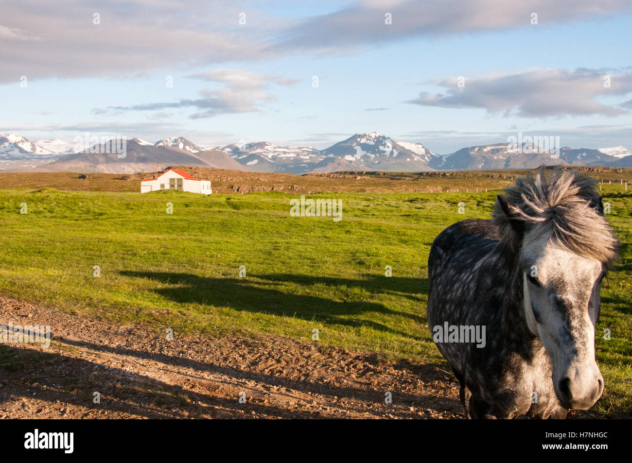 Bauernhof Island Norden der Halbinsel Snæfellsnes Stykkishólmur Stockfoto