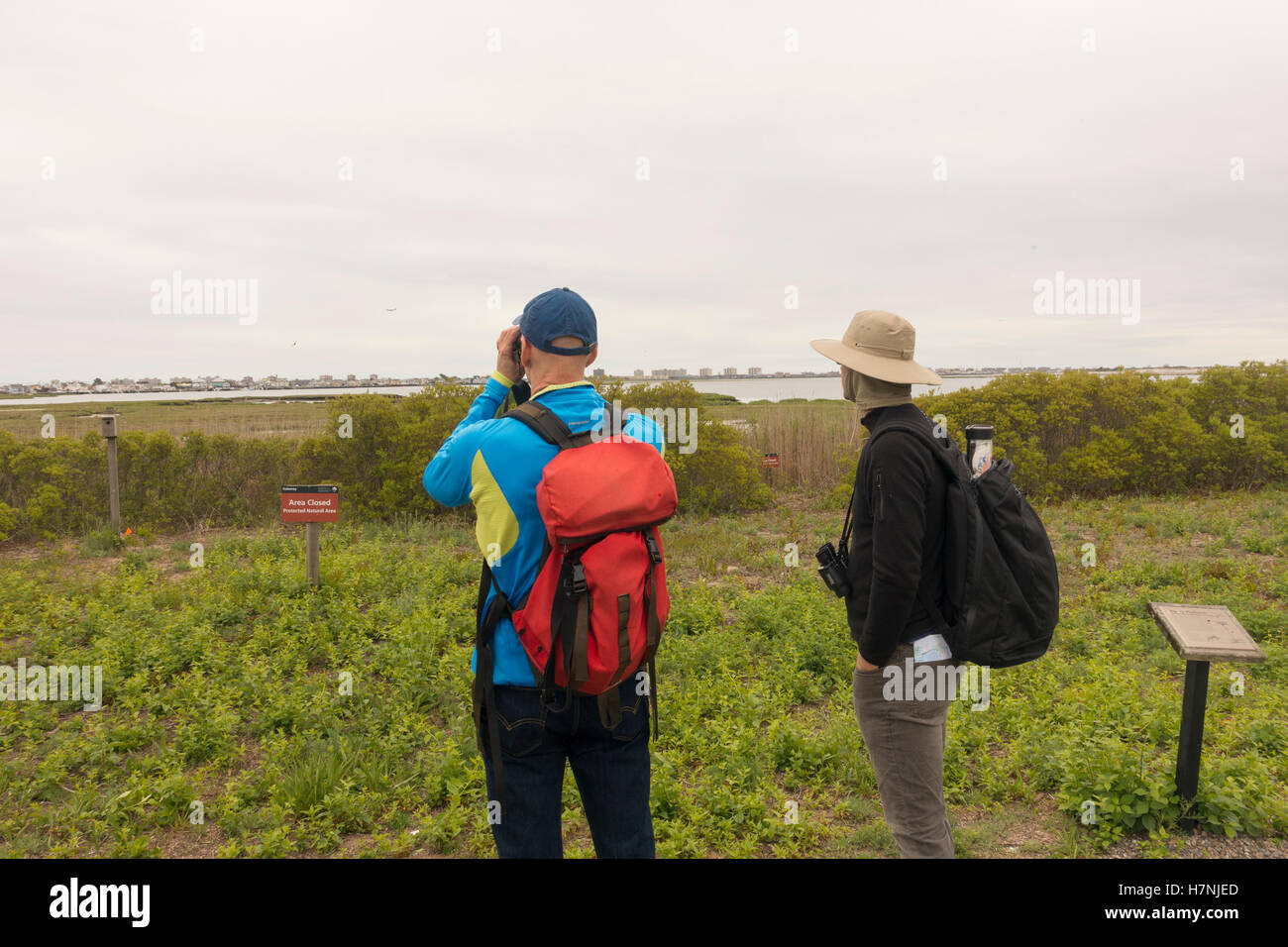 Jamaica Bay Wildlife Refuge Queens NYC Stockfoto