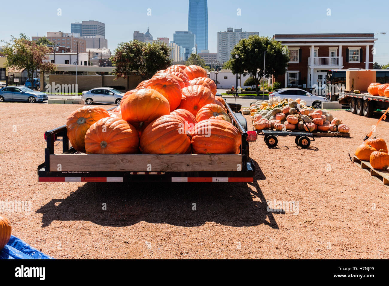 Kürbisse zum Verkauf im Herbst, in der Nähe von Midtown Oklahoma City, Oklahoma, USA. Stockfoto