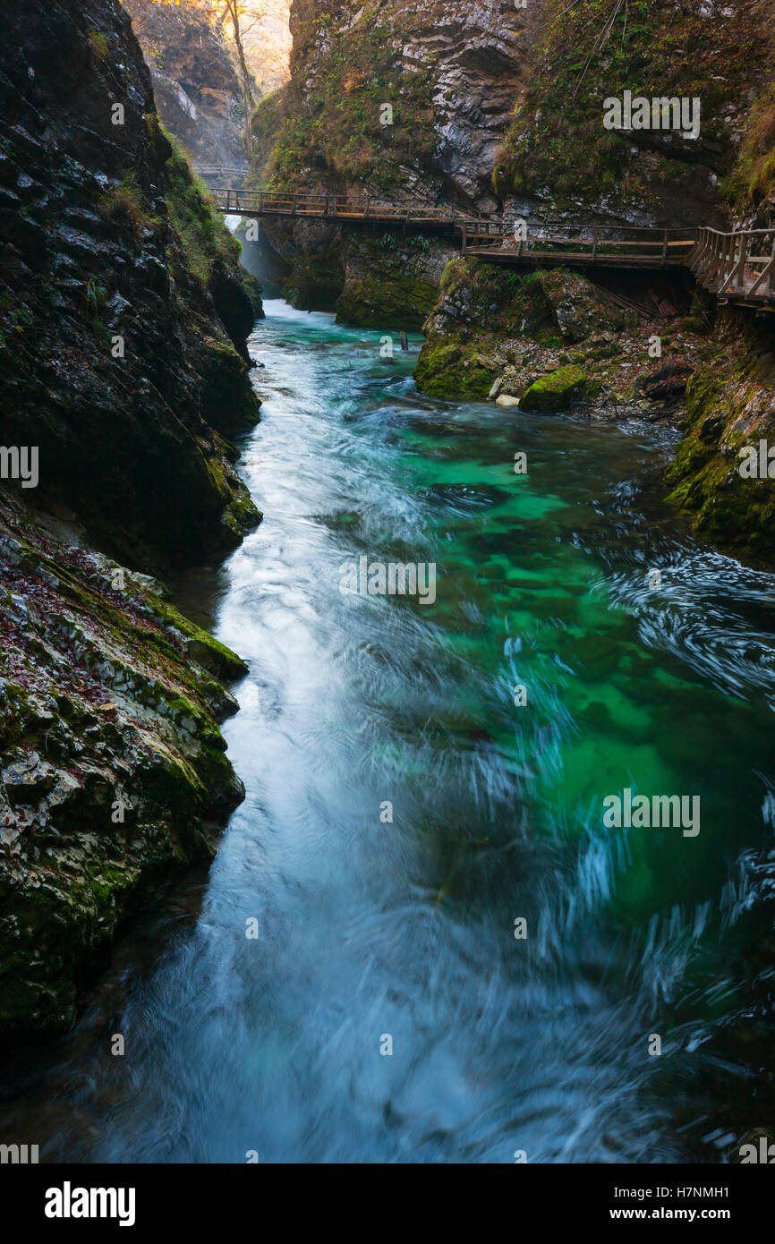 Vintgar-Schlucht in Slowenien Slowenien Stockfoto