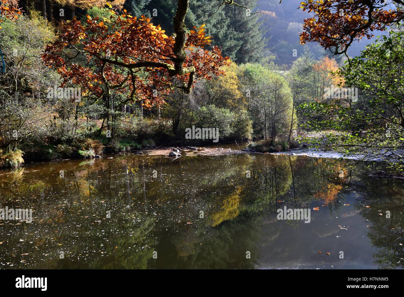 Washpool Irfon Fluss im Herbst Llanwrtyd Wells Powys Wales Stockfoto