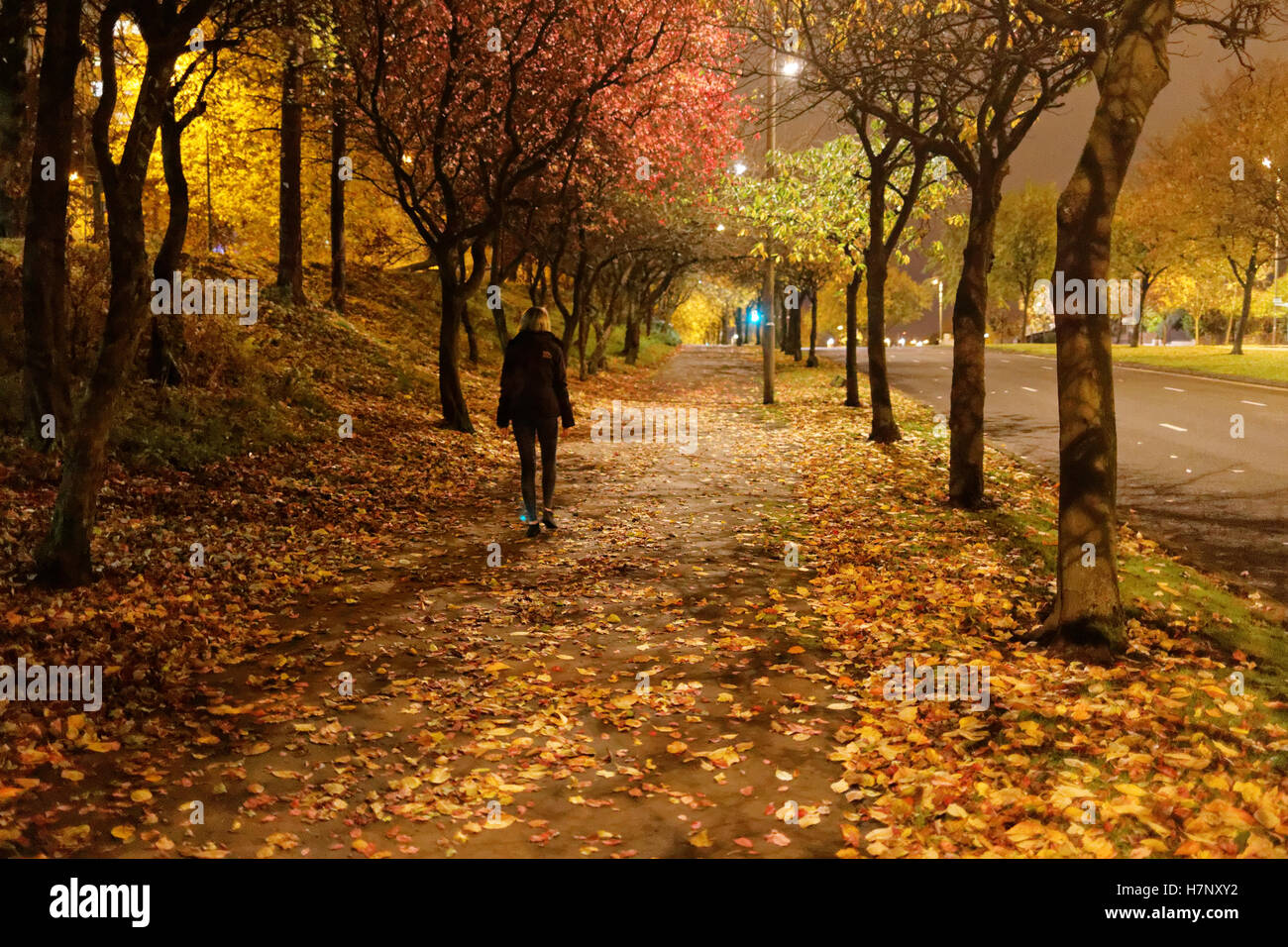 allein junge Mädchen zu Fuß unter Bäume Herbst auf der Straße spät in die Nacht Stockfoto