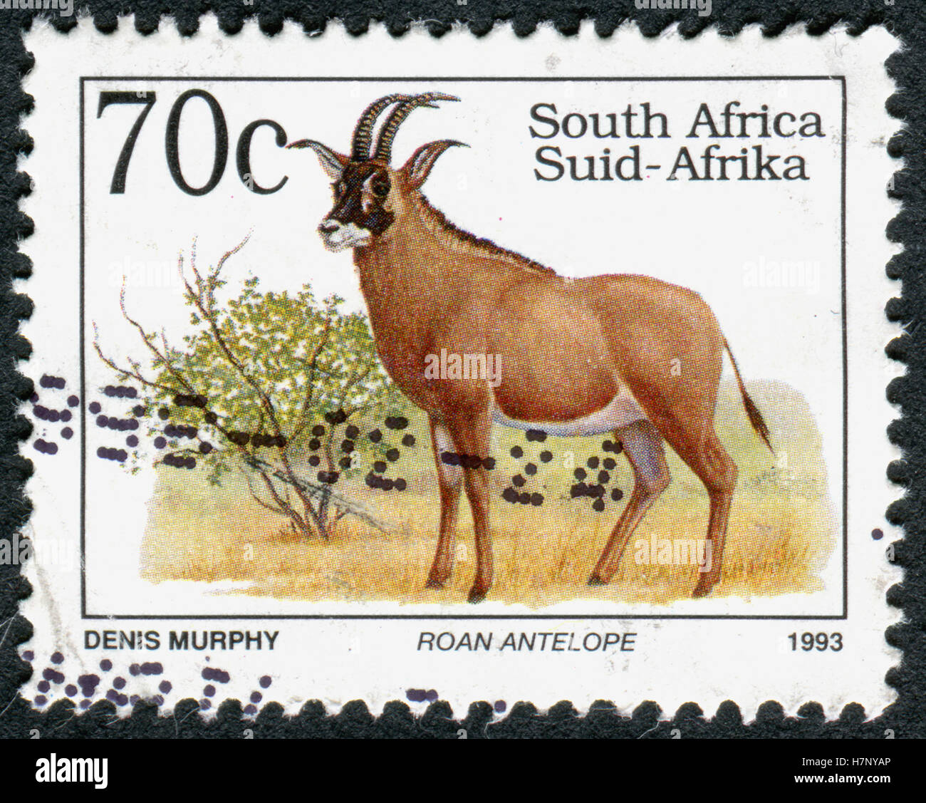Südafrika - ca. 1993: Eine Briefmarke gedruckt in Südafrika zeigt das Tier Pferdeantilope (Hippotragus Spitzfußhaltung), ca. 1993 Stockfoto