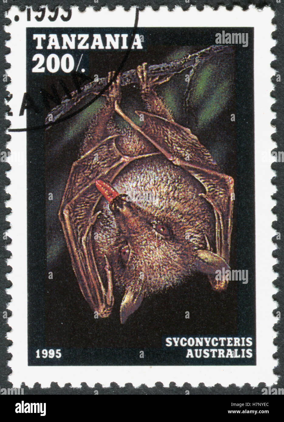 Tansania - ca. 1995: Eine Briefmarke gedruckt in Tansania zeigt die gemeinsame Blossom Fledermaus (Syconycteris Australis), ca. 1995 Stockfoto