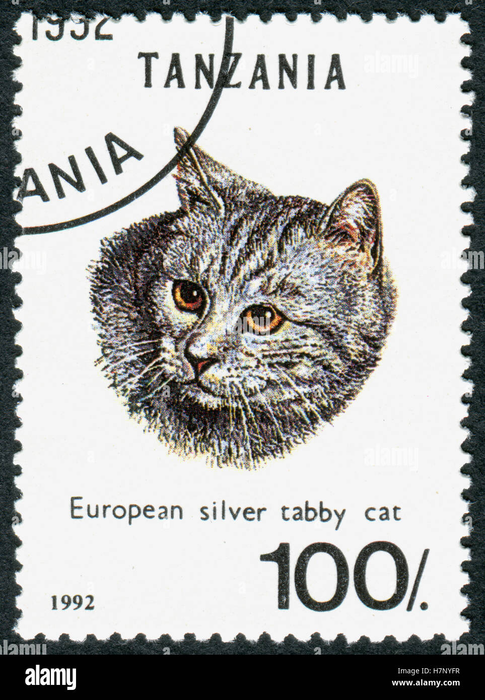 Tansania - ca. 1992: Eine Briefmarke gedruckt in Tansania zeigt das Tier Europäische Silber Tabby (Felis Silvestris Catus), ca. 1992 Stockfoto