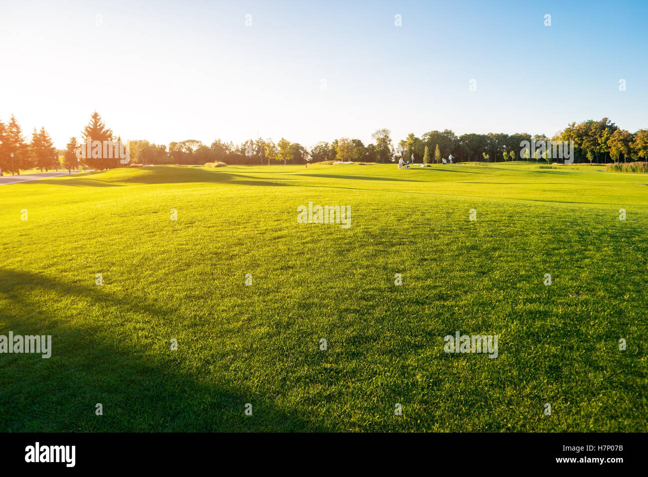 Grün und Himmel. Stockfoto