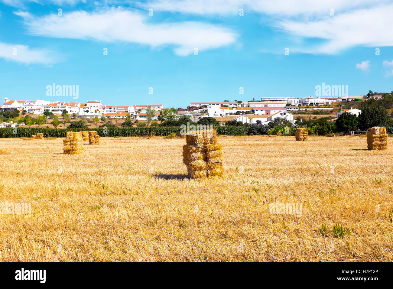 Heuballen in den Feldern in der Nähe von Aljezur in Portugal Stockfoto