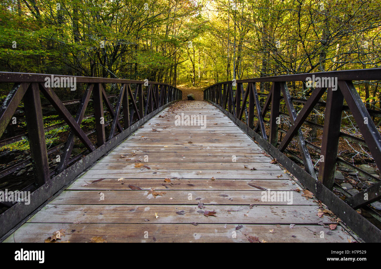 Great Smoky Mountain Wanderweg. Fußgängerbrücke über einen Weg in die Great Smoky Mountains mit herbstlaub als Hintergrund. Stockfoto