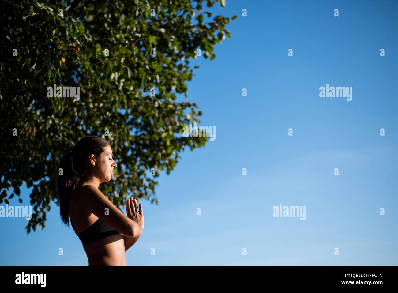 Schöne Frau, die Durchführung von Yoga im Garten Stockfoto