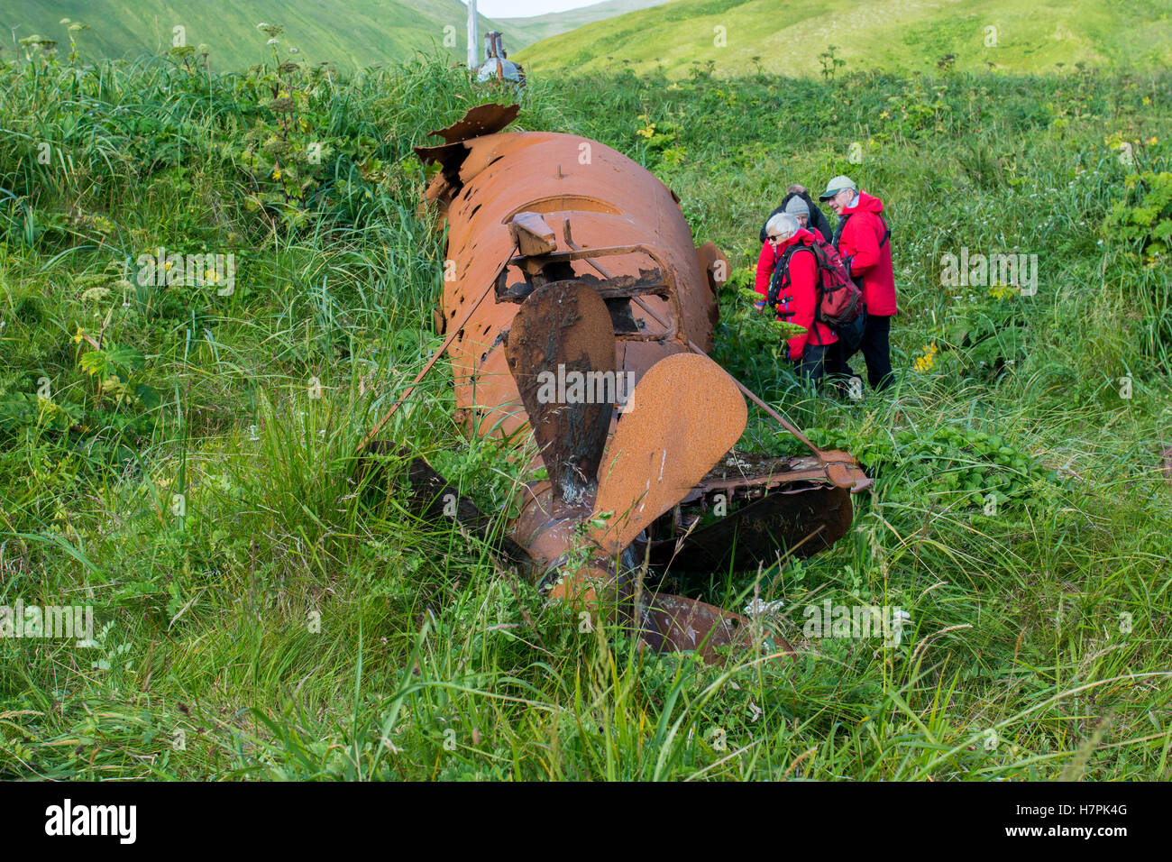 Alaska, Aleuten Inselkette, Ratte Inseln Kiska Insel (Aleuten