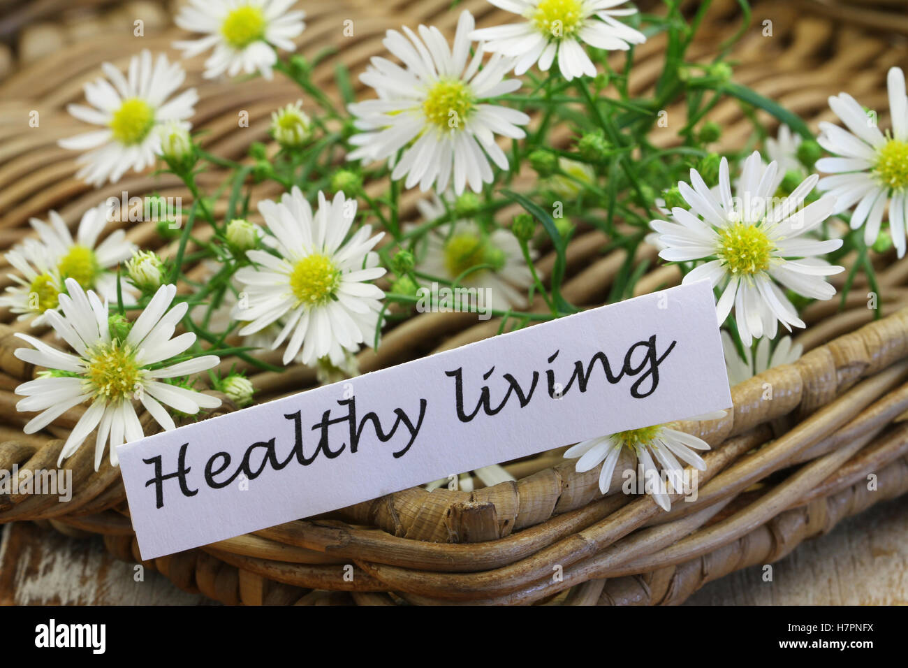 Gesundes Wohnen-Karte mit Kamillenblüten auf Korbwaren Tablett Stockfoto