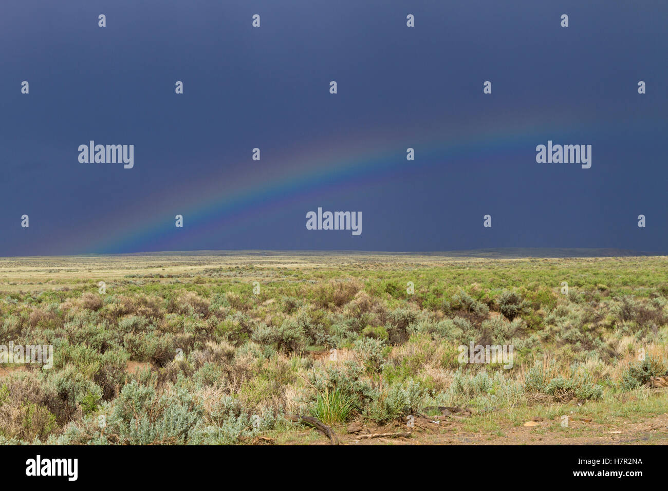 Regenbogen im Sturm abgedunkelt, blauer Himmel von Wyoming an McCullough Spitzen Pferd Management Area in der Nähe von Cody. Stockfoto
