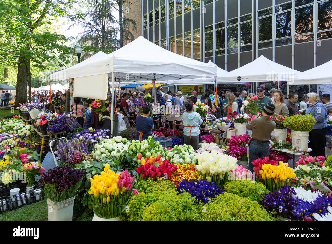 Samstag Bauernmarkt im Frühjahr, Portland State University, Portland, OR, USA Stockfoto