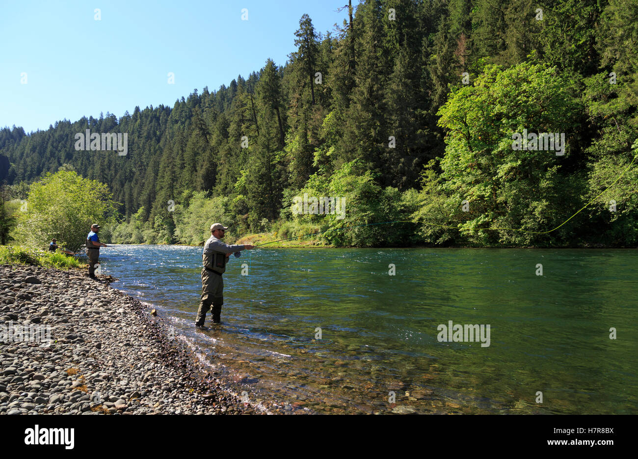 Projekt Healing Waters Fly Fishing-Programm auf der McKenzie River, Oregon. HW arbeitet mit behinderten Veteranen Stockfoto