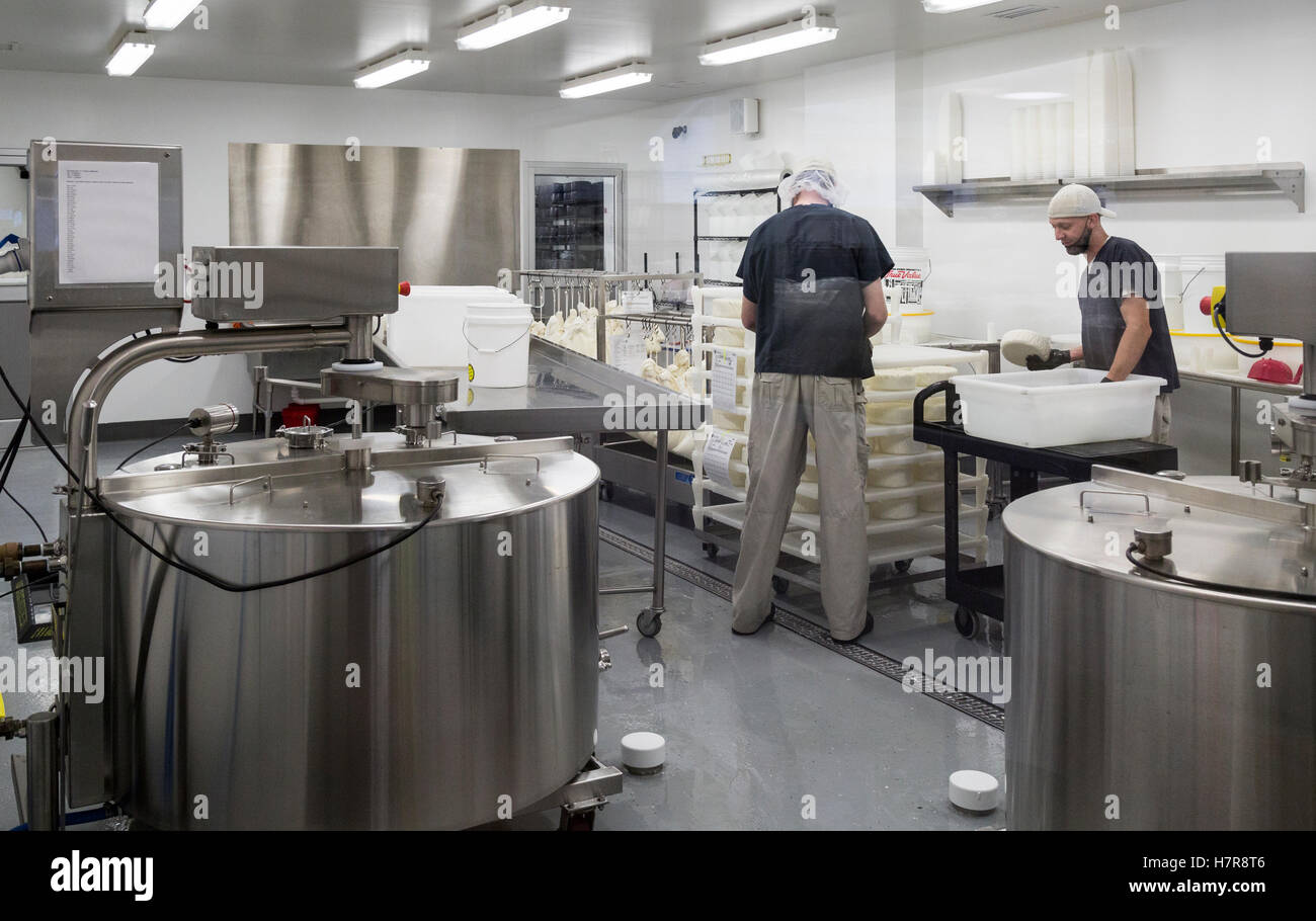 Lokalen Maryland Käser, FireFly Creamery, Unfall, Maryland, USA FireFly Creamery, Unfall, Maryland, USA Stockfoto