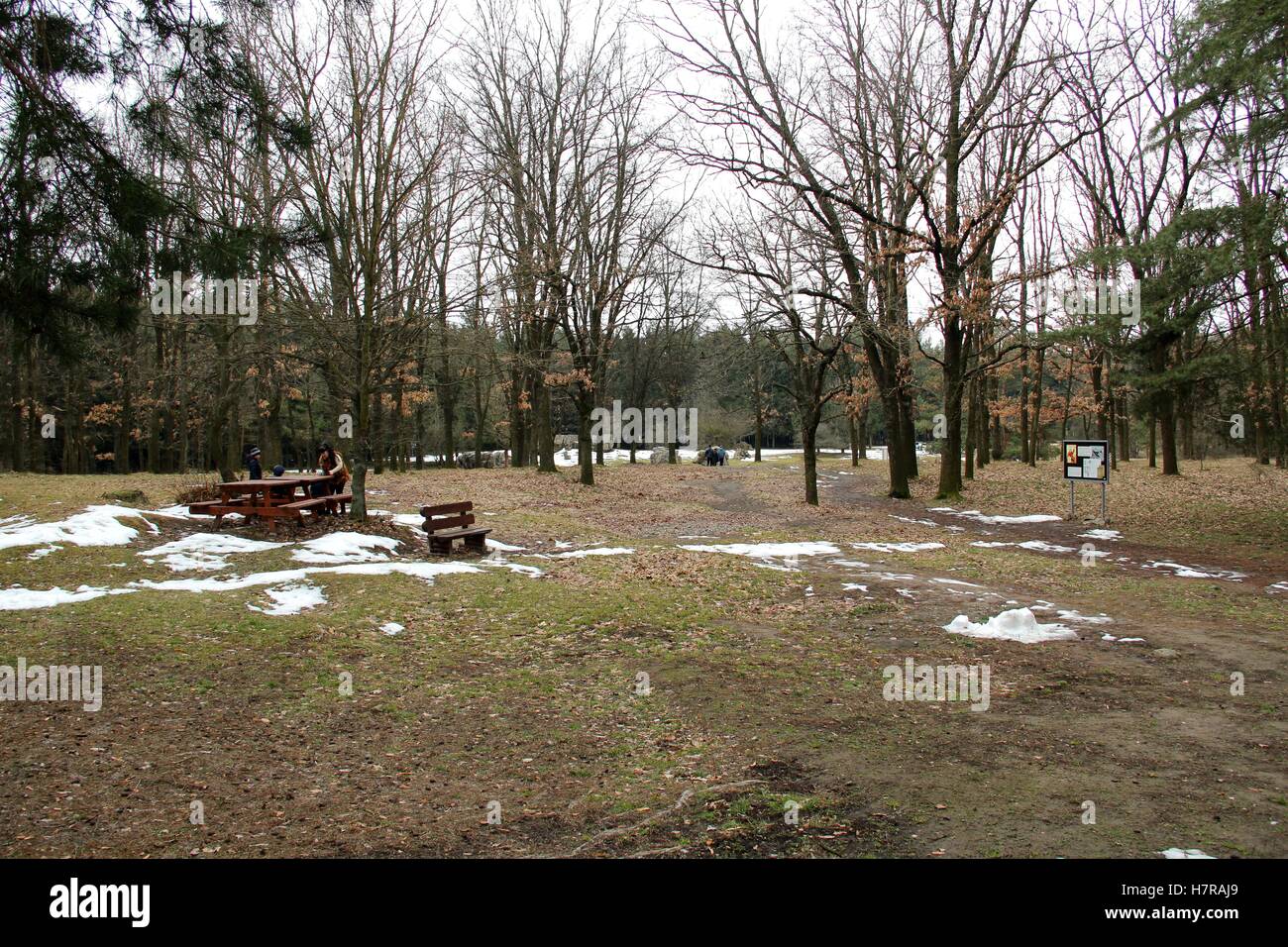 Wehrwolf in Winniza, Ukraine. Hitlers Bunker. Stockfoto