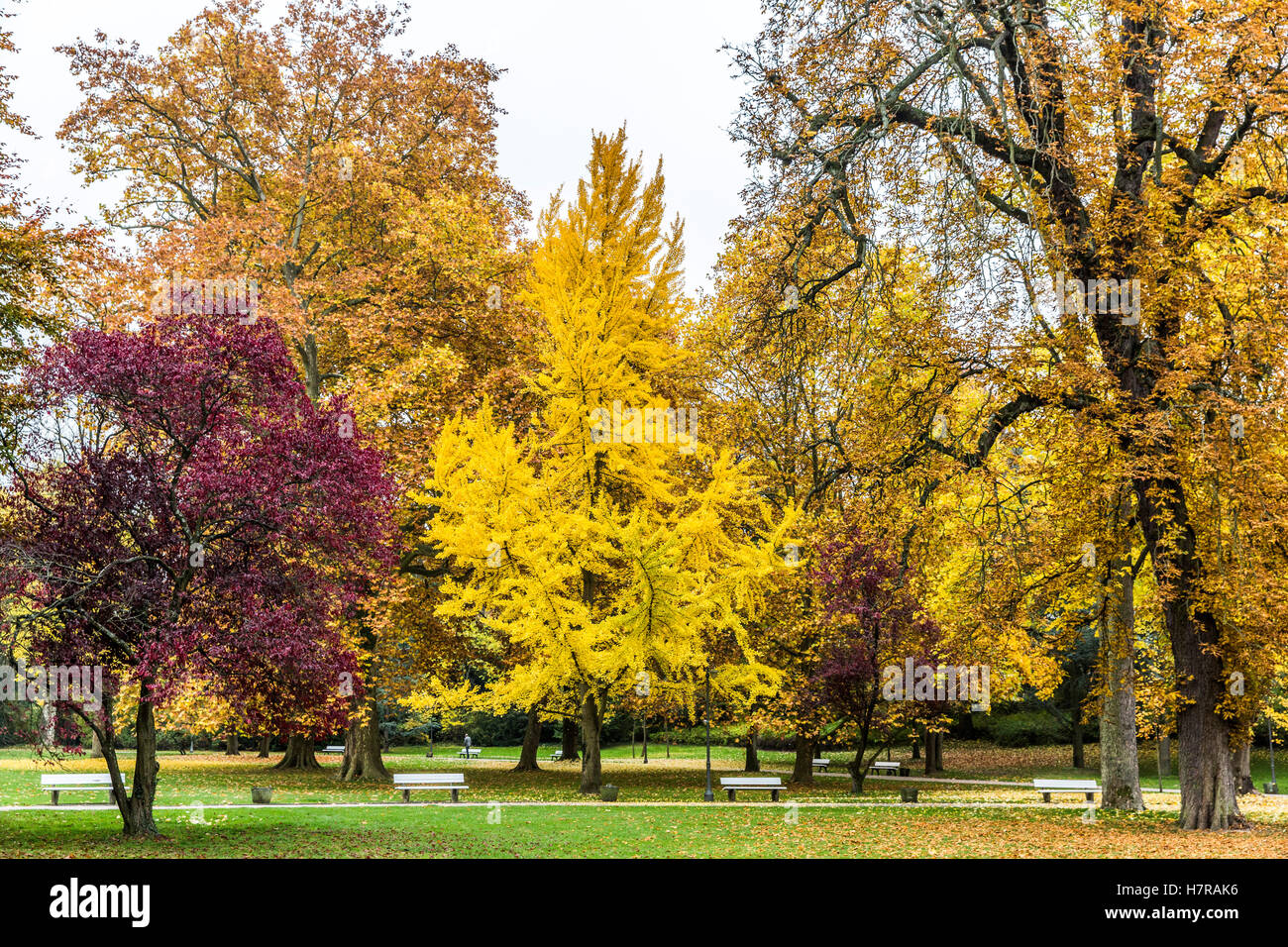 Stadtpark in Wiesbaden Stockfoto