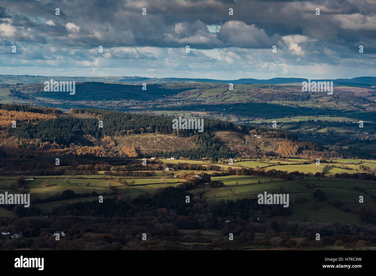 Ein Blick über die Felder im westlichen Bereich des Brecon-Beacons-Nationalpark, Wales, Großbritannien. Foto aus dem Black Mountain Stockfoto