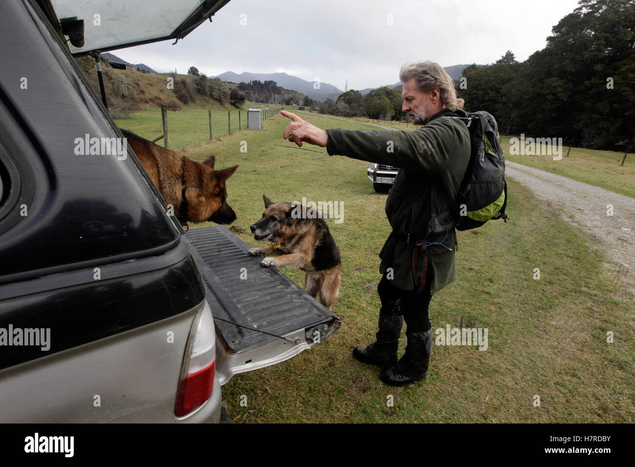 Suche und Rettung Hunde wird wieder in ein Auto von ihren Besitzern bei Owen River in der Nähe von Murchison, Neuseeland Stockfoto