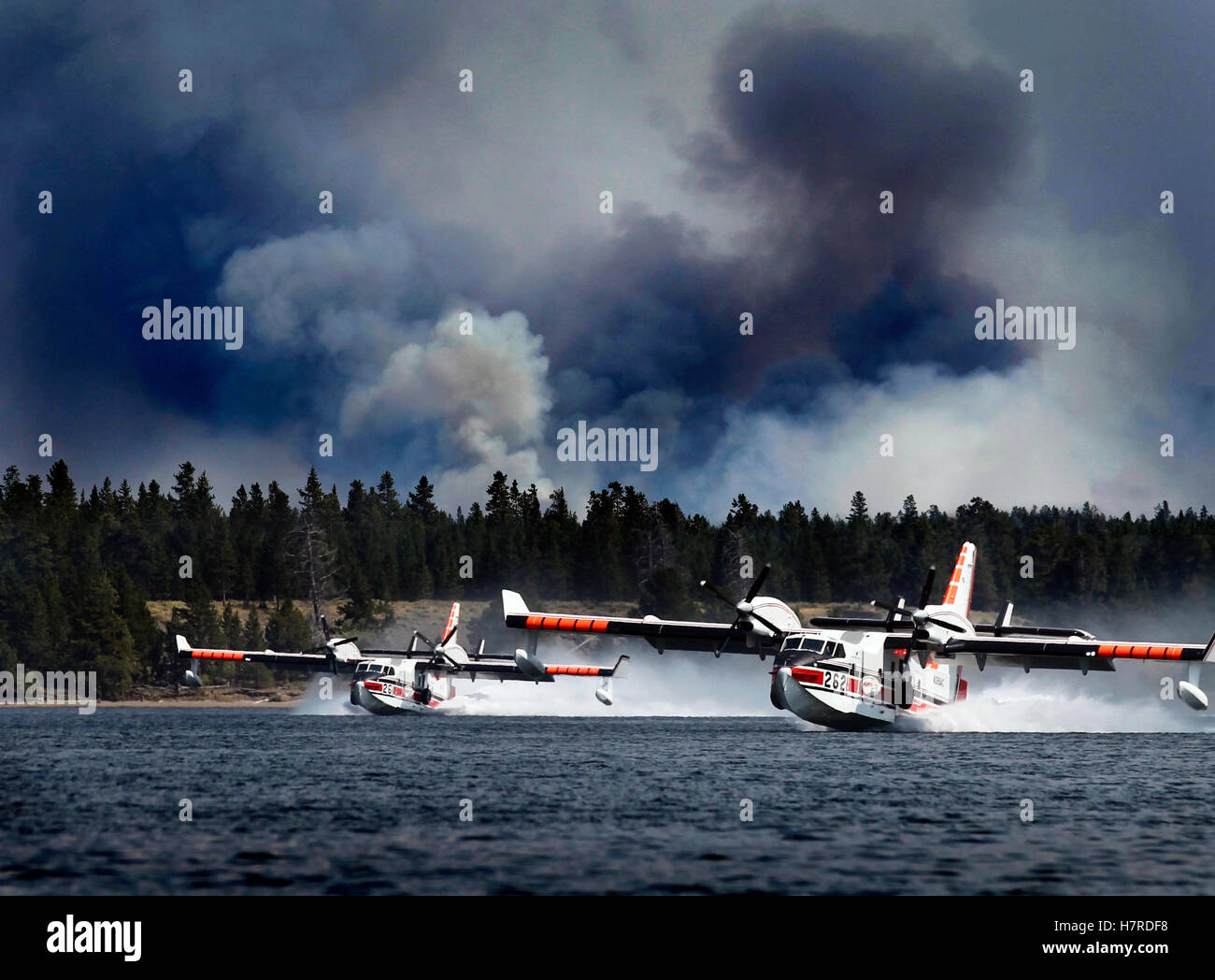 Scooper Flugzeuge Kampf Waldbrand Stockfoto