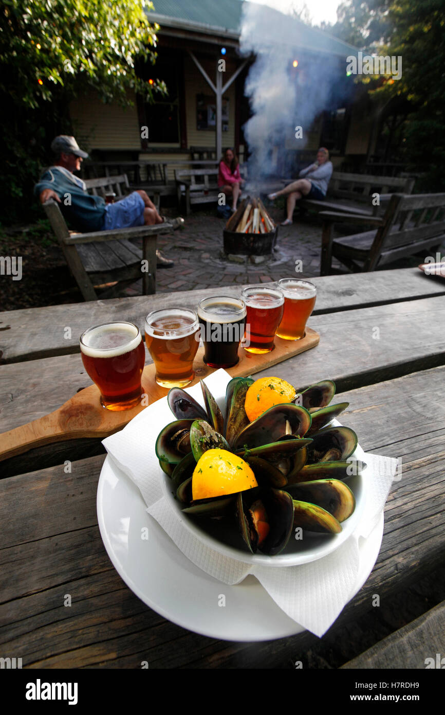 Frische Muscheln und Biere im Mussel Inn, Collingwood, Neuseeland Stockfoto